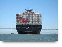 Container Ship Charter Rate Surge Pushes into August