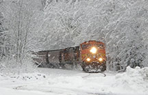 Polar vortex impedes soybean and grain transportation