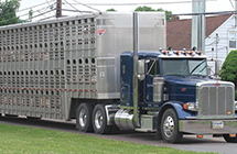 DOT permanently suspends ELD requirement for livestock haulers