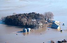 Grain, Fertilizer Transportation: MS River Flooding Prevents Barge Movement