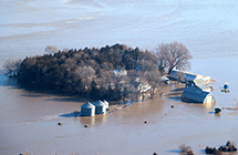 Grain, Fertilizer Transportation: MS River Flooding Prevents Barge Movement