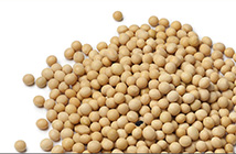 US agriculture exporters accelerate focus on Southeast Asia